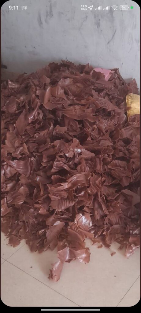 WhatsApp Image 2025-08-15 at 09.12.46_2afdbe6a