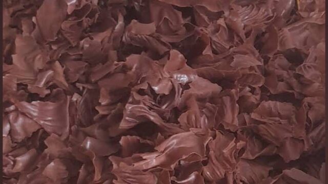 WhatsApp Image 2025-08-15 at 09.12.46_2afdbe6a