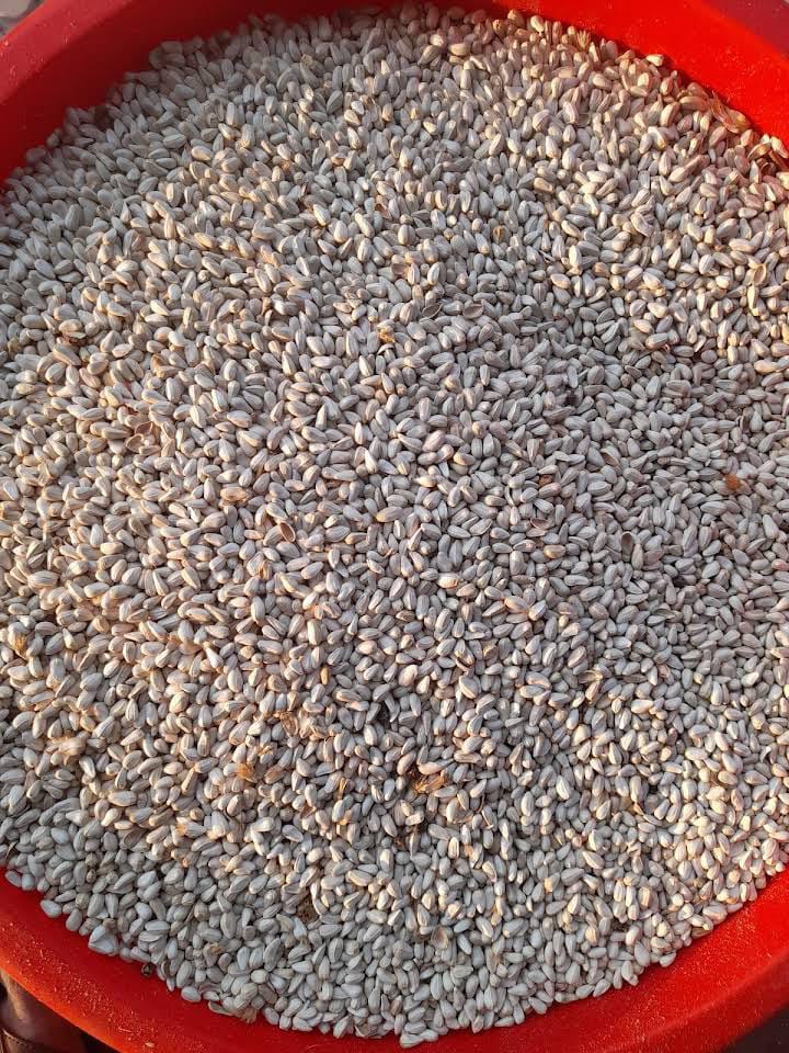 WhatsApp Image 2025-08-15 at 09.12.47_c150ca47